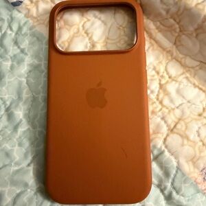 Apple Phone Case iPhone 17 pro